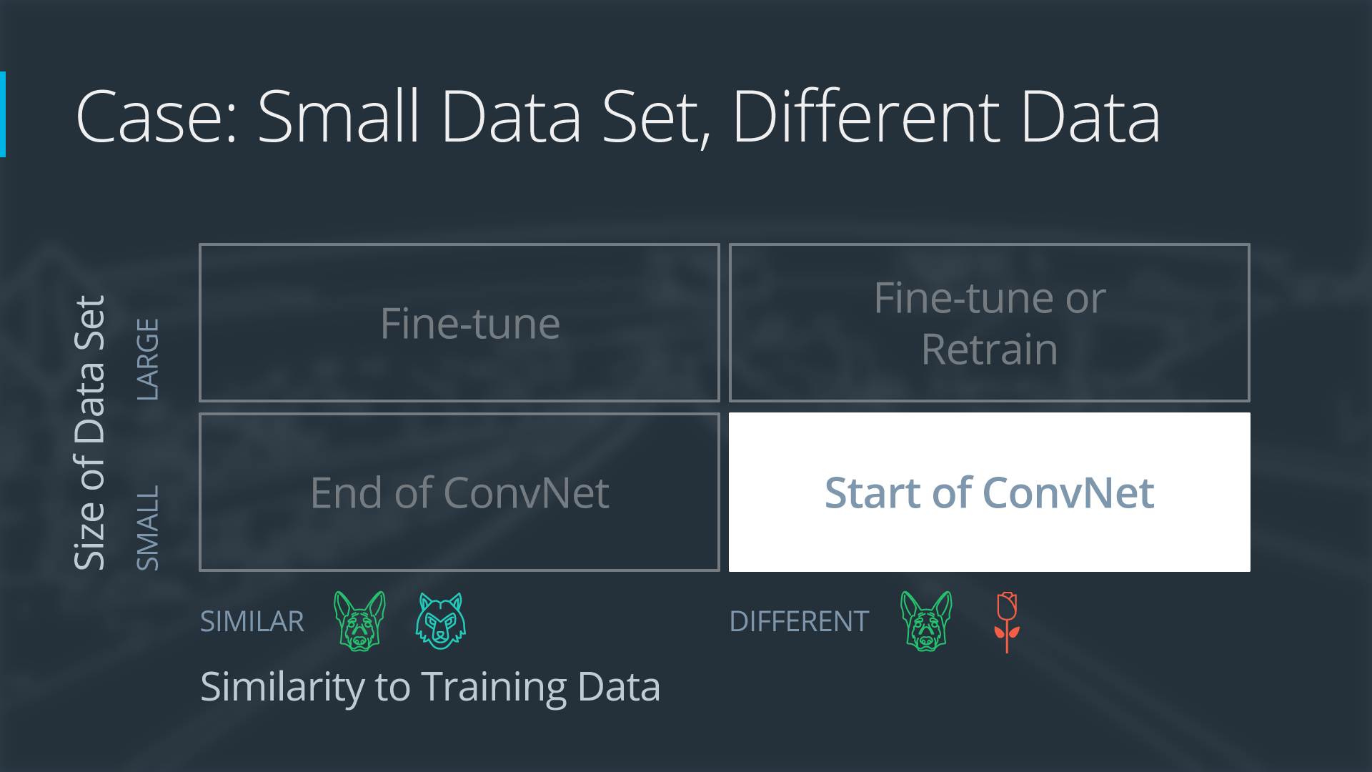 Case 2: Small Data Set, Different Data